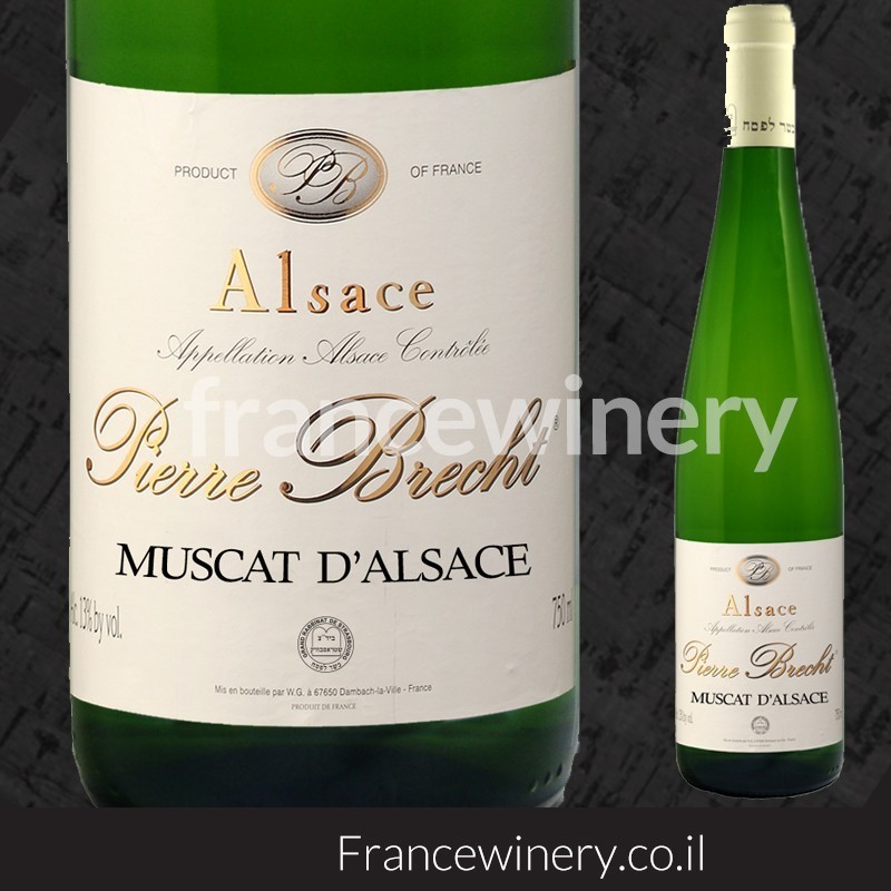 ALSACE MUSCAT D'ALSACE PIERRE BRECHT 