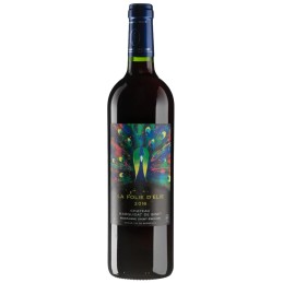 Montagne Saint Emilion La Folie d'Elie 2018